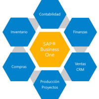 SAP Business One
