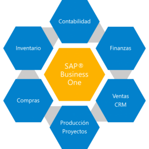 SAP Business One