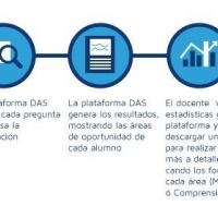DAS platform 