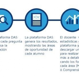 DAS platform 